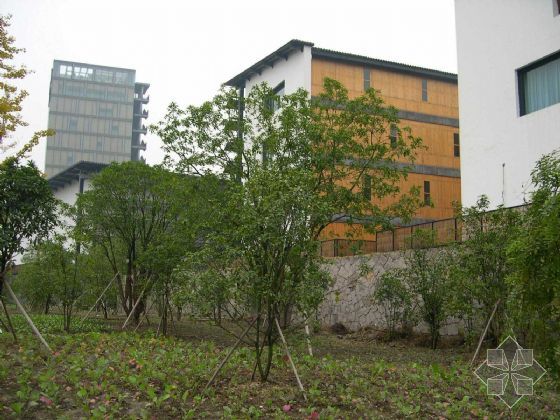樟树2017中国美术学院象山alc板材蒸压加气混凝土板材